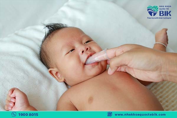 chắm sóc răng sữa cho bé từ 6 đến 8 tháng tuổi